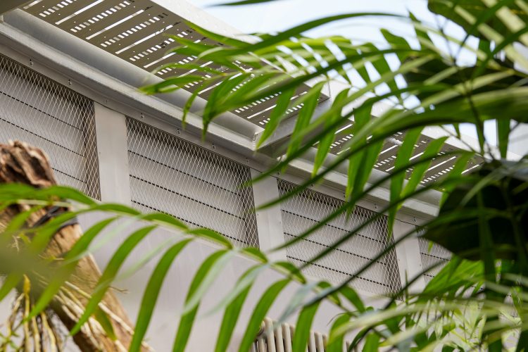 Zoo Dome 446 750x500