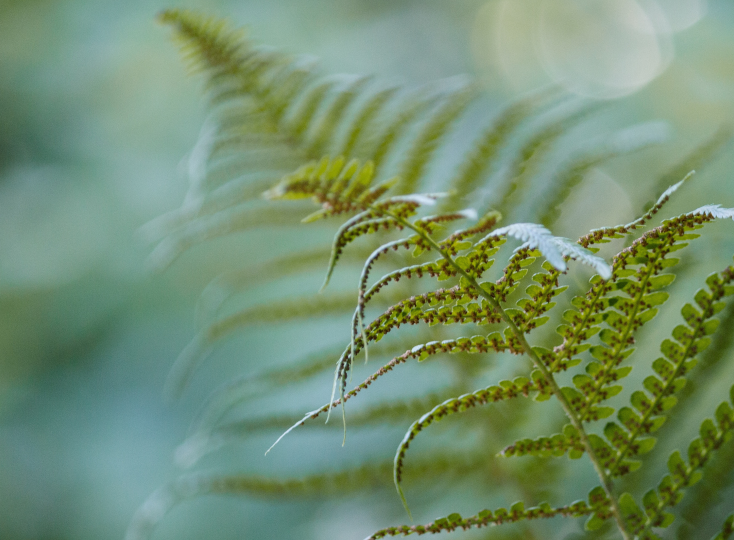 Untitled design 19 v4